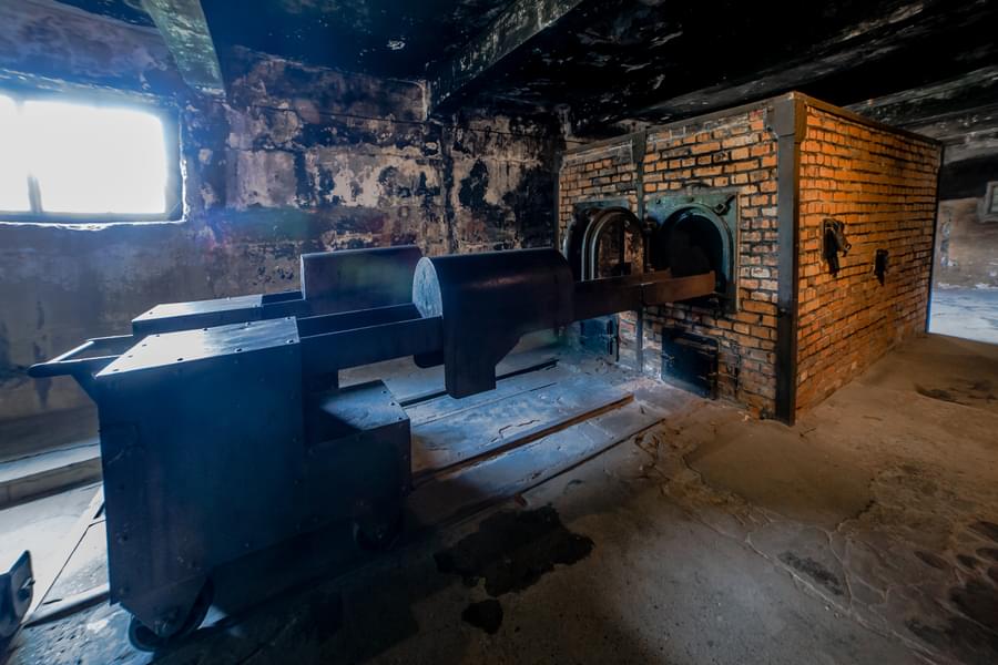 Take the tour with official museum educator